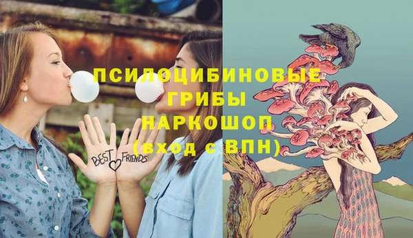 спиды Белокуриха