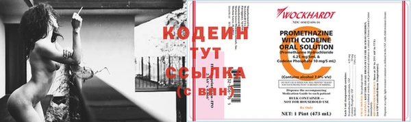 спиды Белокуриха