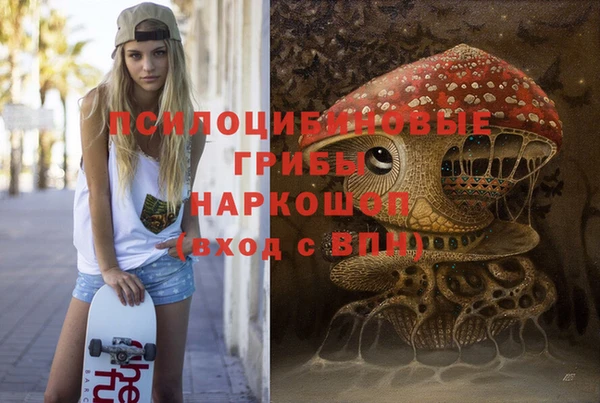 спиды Белокуриха