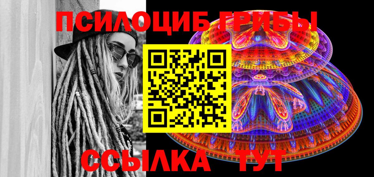 Галлюциногенные грибы Psilocybine cubensis Гудермес