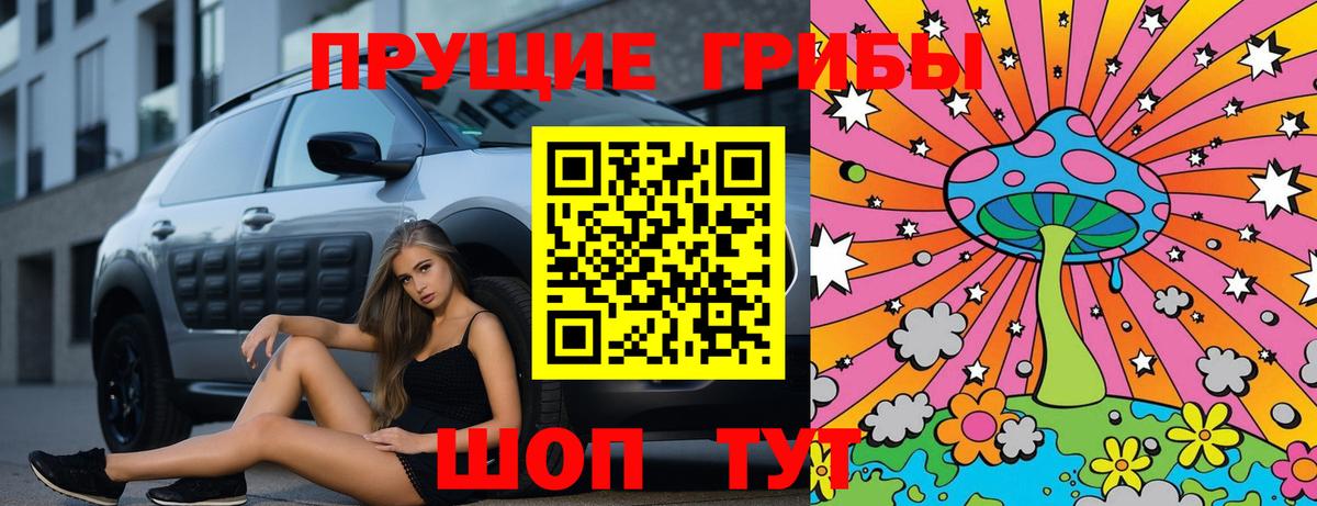 Галлюциногенные грибы GOLDEN TEACHER  Вход с VPN  Гудермес 